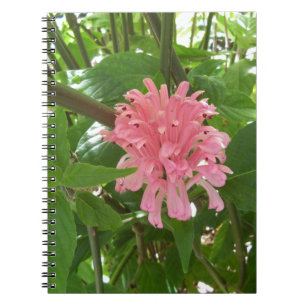 Brasilianische Plume-Blume Notizblock