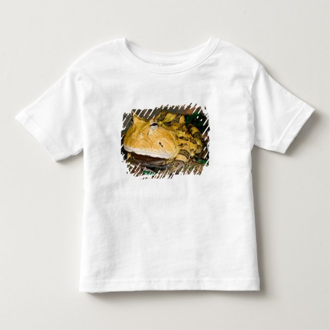 Brasilianischer Hornfrosch, Ceratophrys cornuta, 3 Kleinkind T-shirt (Vorderseite)