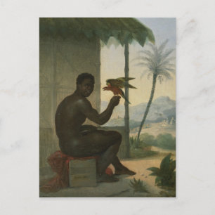 Brasilianischer Schwarzer mit tropischem Vogel Postkarte