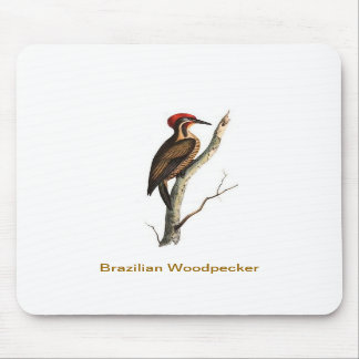 Brasilianischer Specht Vogel Mauspad