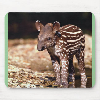 Brasilianischer Tapir, junges Kalb neben Fluss Mousepad