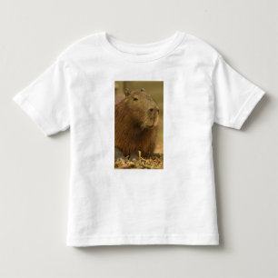 Brasilien, Pantanal, Matto Grosso. Capybara Kleinkind T-shirt