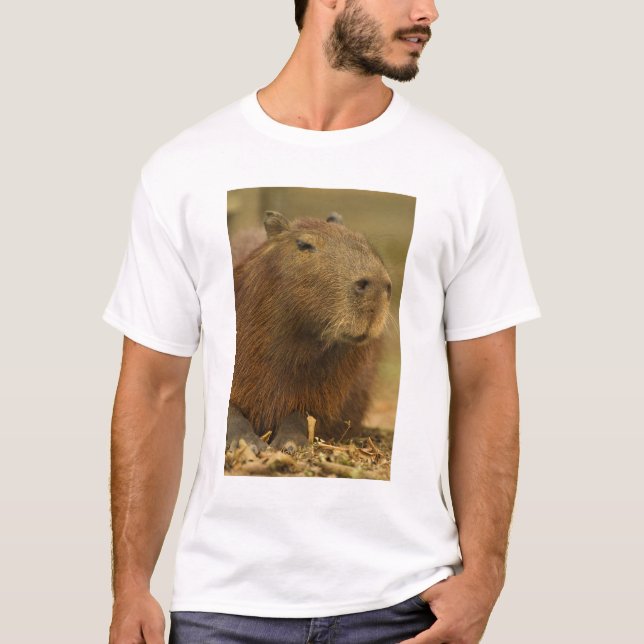 Brasilien, Pantanal, Matto Grosso. Capybara T-Shirt (Vorderseite)