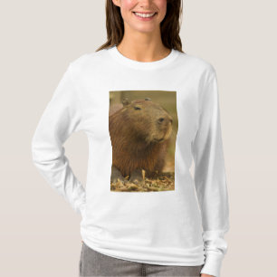 Brasilien, Pantanal, Matto Grosso. Capybara T-Shirt