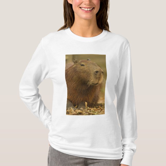 Brasilien, Pantanal, Matto Grosso. Capybara T-Shirt (Vorderseite)