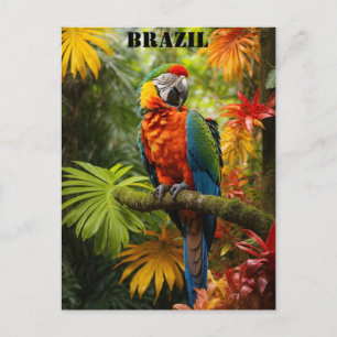 Brasilien Rainforest Colorful Macaw Bird Travel Postkarte