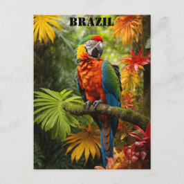 Brasilien Rainforest Colorful Macaw Bird Travel Postkarte