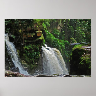 Brasilien Rainforest Waterfall Poster