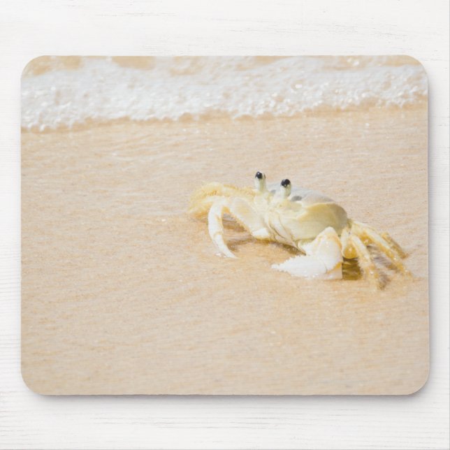 Brasilien, Rio de Janeiro, Buzios, Crab Mousepad (Vorne)