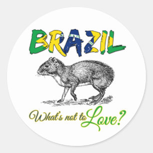Brasilien - Was ist nicht zu Liebe Brasil Zitat Runder Aufkleber
