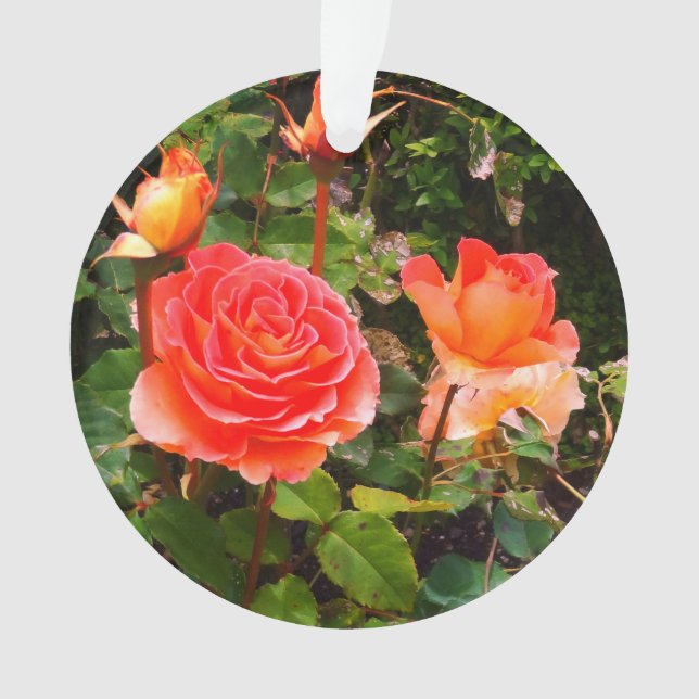 Brass Band Rose #1 Ornament (Vorderseite)