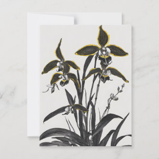 Brassia Orchids Moderne Kunst Postkarte