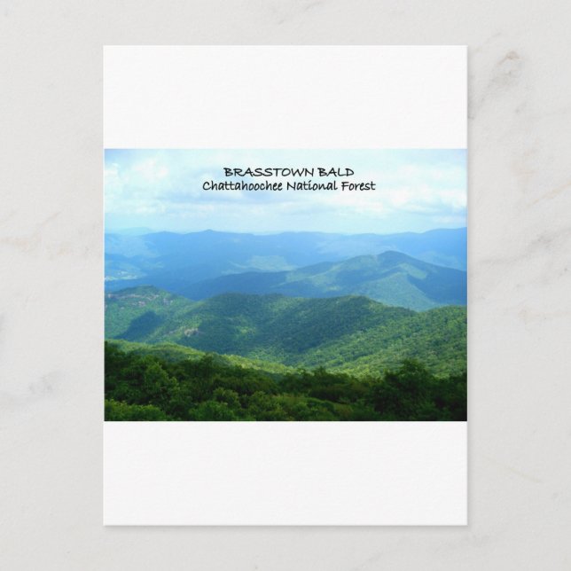 Brasstown Bald - Chattahoochee National Forest Postkarte (Vorderseite)