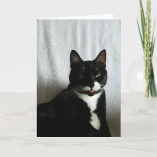 Brat Cat Razzberry Birthday Karte