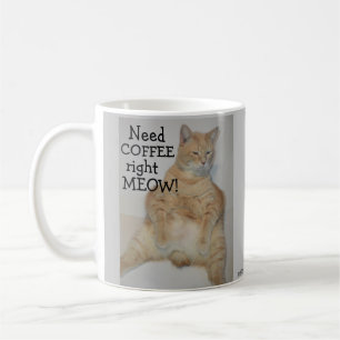 Brauche Kaffee Sofort Miaa! Fette Manx-Katze sitzt Kaffeetasse