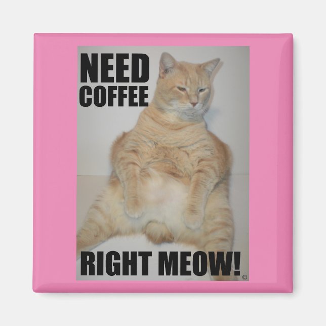 BRAUCHEN KAFFEE RICHTIG! Manx Cat Sitting Funny Magnet (Vorne)