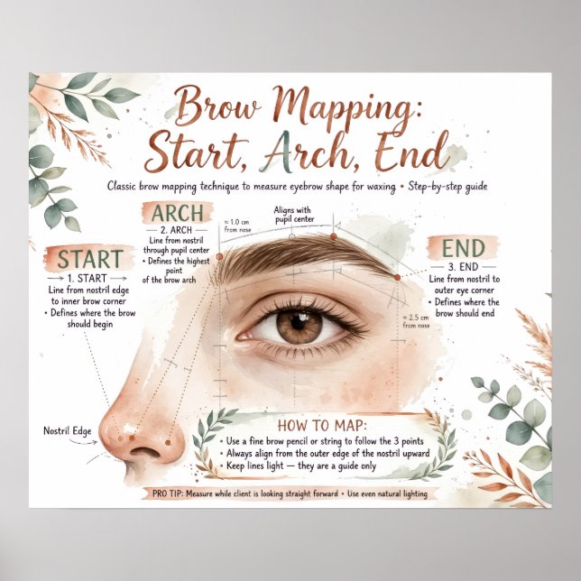 Brauen-Mapping Poster (Vorne)