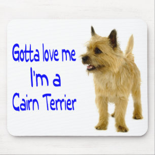 Braun Cairn Terrier Welpen Hund Liebe Mauspad