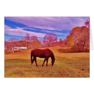 > Braun in einem träumfarbenen Feld