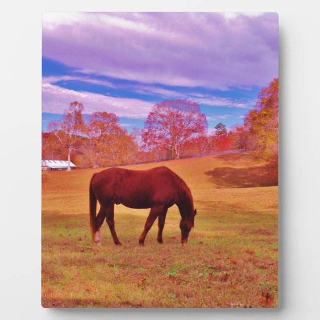 > Braun in einem träumfarbenen Feld Fotoplatte (Vorderseite)