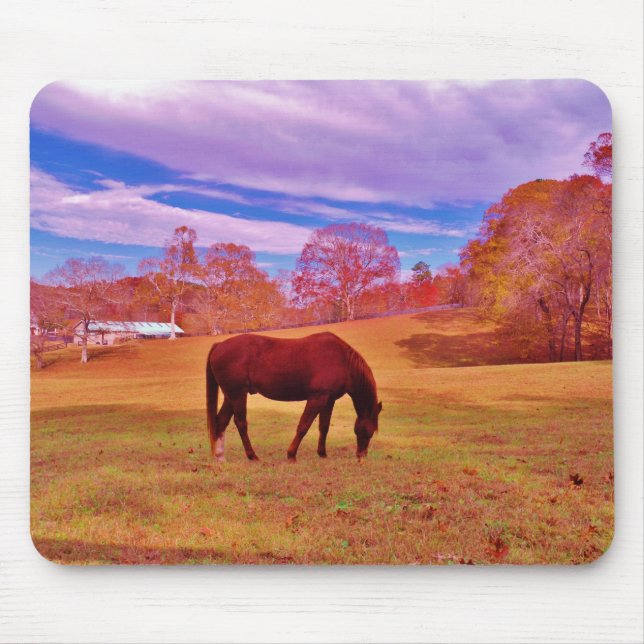 > Braun in einem träumfarbenen Feld Mousepad (Vorne)