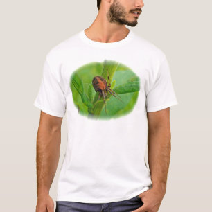 Braun Orange Araneus T-Shirt