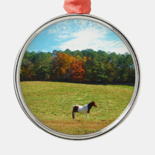 Braun- und Weißpferd, Herbstbäume, blauer Himmel Ornament Aus Metall