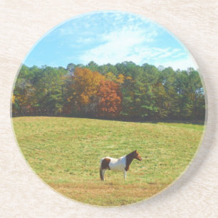 Braun- und Weißpferd, Herbstbäume, blauer Himmel Untersetzer