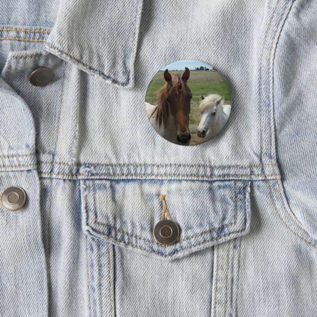 Braun- und Weißpferde, Button (Beispiel)