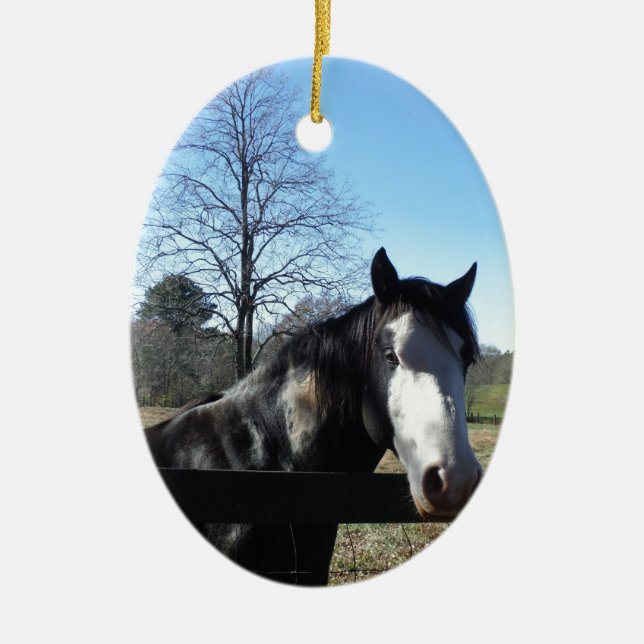 Braun & Weiß, gestrichenes Pferd, hellblauer Himme Keramikornament (Vorne)