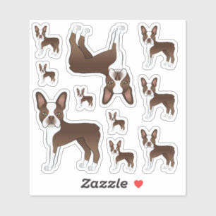 Braun-weiße Boston-Terrier-Hund-Illustrationen Aufkleber