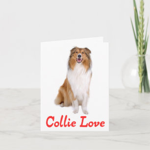Braun-weiße Collie-Welpen-Hund-Blanko-Grußkarte Karte