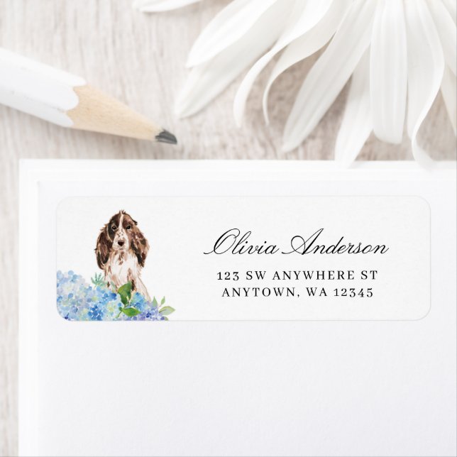Braun-weißer Cocker Spaniel Blaue Hortensie (Insitu)