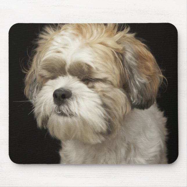 Braun-weißer Shih Tzu mit geschlossenen Augen Mousepad (Vorne)
