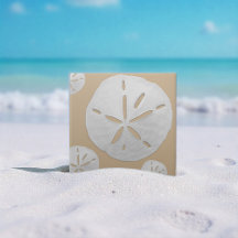 Braun & Weißer Tropischer Strand Sand-Dollar