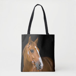 Braun-weißes Quarter-Horse-Foto