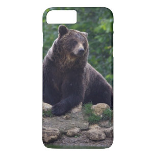 Braunbär Case-Mate iPhone Hülle