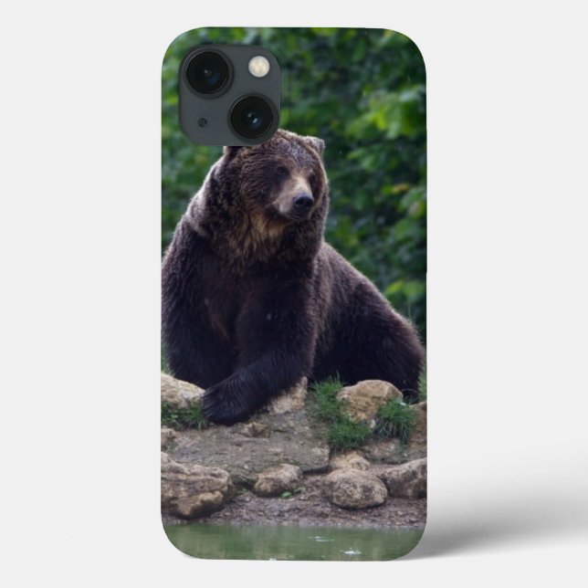 Braunbär Case-Mate iPhone Hülle (Rückseite)