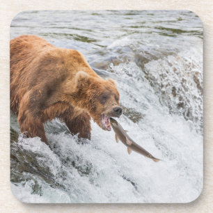 Braunbär fängt roten Lachs Getränkeuntersetzer