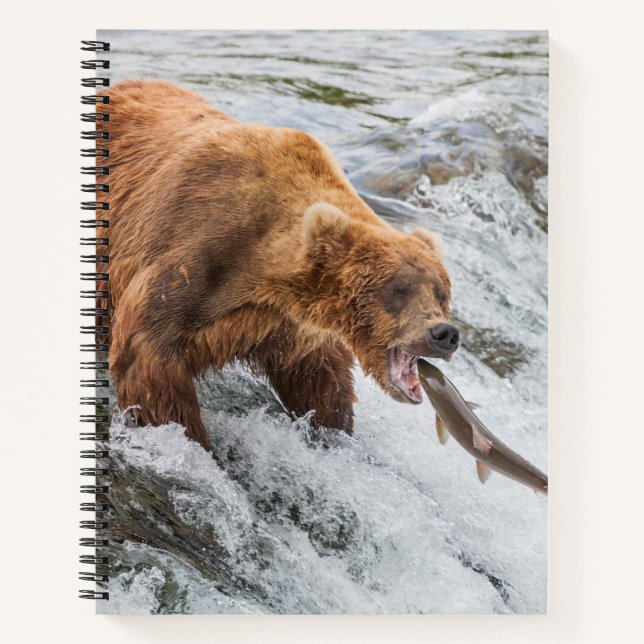 Braunbär fängt roten Lachs Notizbuch (Vorderseite)