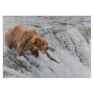 Braunbär fängt roten Lachs Schneidebrett