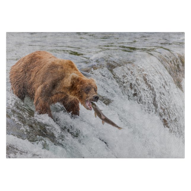 Braunbär fängt roten Lachs Schneidebrett (Vorderseite)