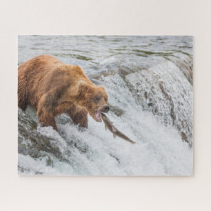 Braunbär fängt Rotlachs Puzzle