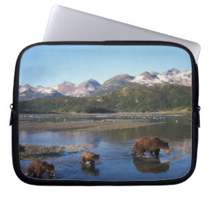 Braunbär, Grizzlybär, Bache und Junge in Laptopschutzhülle