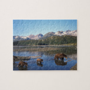 Braunbär, Grizzlybär, Bache und Junge in Puzzle
