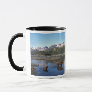Braunbär, Grizzlybär, Bache und Junge in Tasse