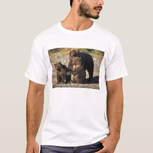 Braunbär, Grizzlybär, Bärin mit Jungen an der Küst T-Shirt