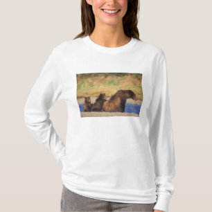 Braunbär, Grizzlybär, Bärin mit Jungen, T-Shirt