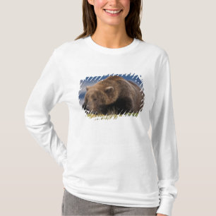 Braunbär, Grizzlybär, beim Nickerchen, Katmai T-Shirt