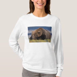 Braunbär, Grizzlybär, ein Nickerchen machen, Katma T-Shirt
